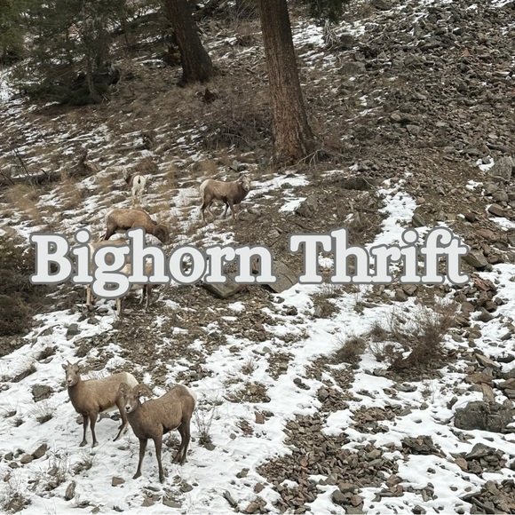 bighornthrift